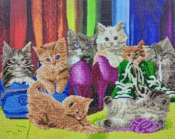 Kitten Footware, 40x50cm Crystal Art Kit