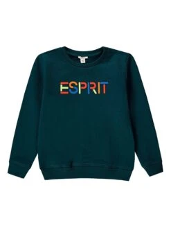 ESPRIT Sweatshirt In Dunkelgrün