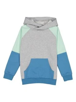 Hoodie In Grau