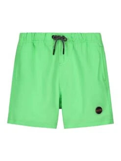Shiwi Badeshorts In Hellgrün